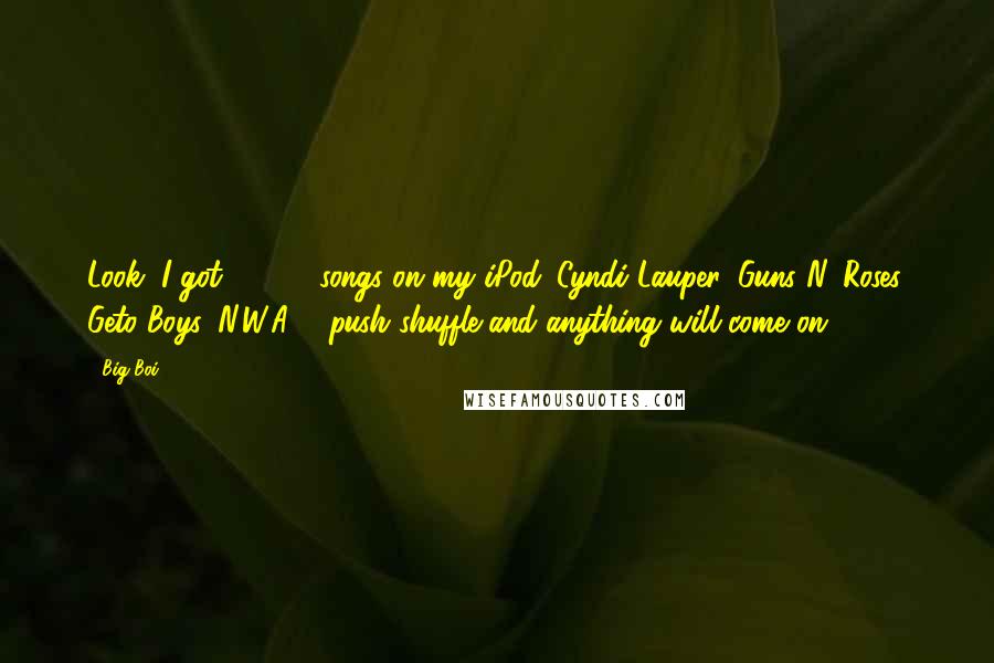 Big Boi Quotes: Look, I got 11,052 songs on my iPod. Cyndi Lauper, Guns N' Roses, Geto Boys, N.W.A ... push shuffle and anything will come on.