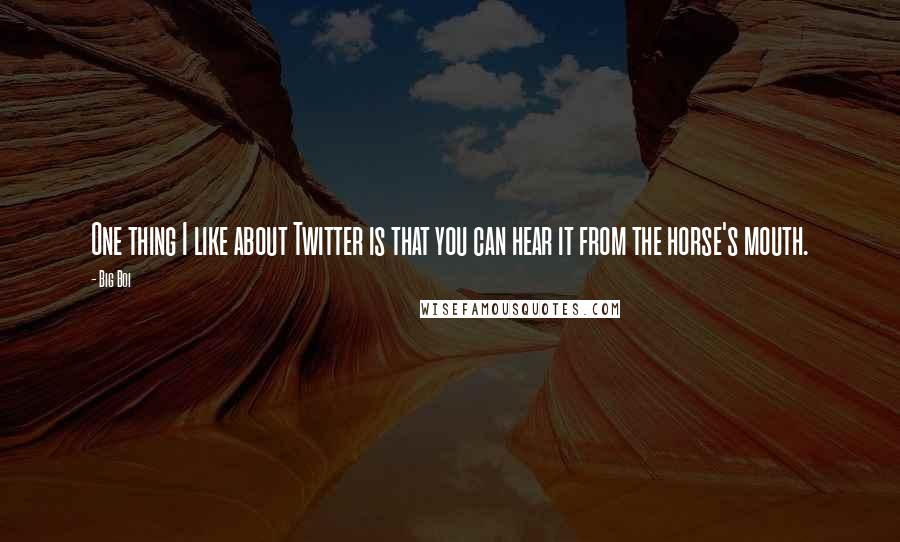 Big Boi Quotes: One thing I like about Twitter is that you can hear it from the horse's mouth.