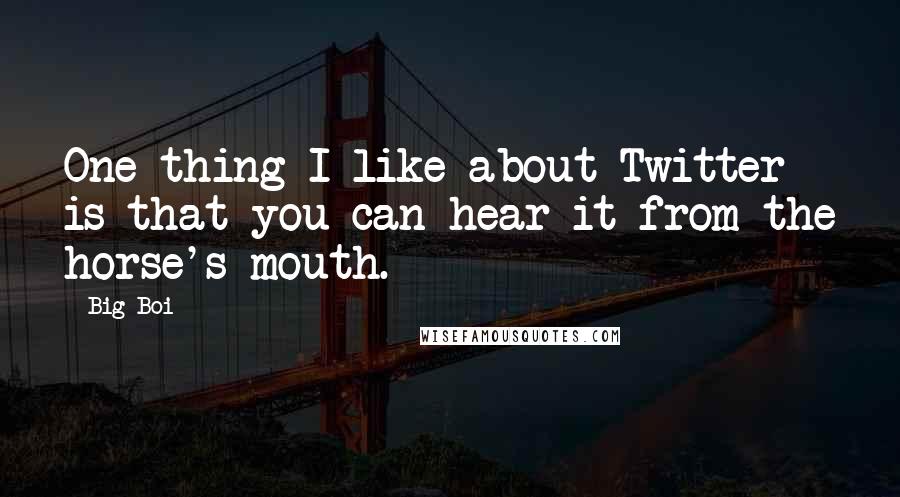 Big Boi Quotes: One thing I like about Twitter is that you can hear it from the horse's mouth.