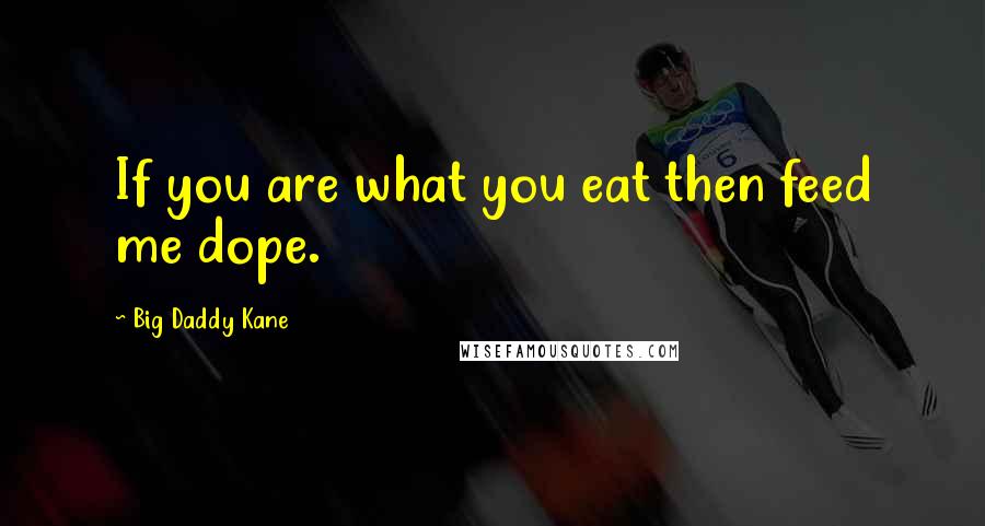 Big Daddy Kane Quotes: If you are what you eat then feed me dope.