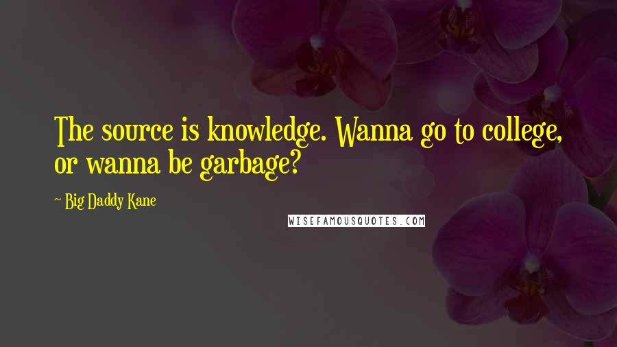 Big Daddy Kane Quotes: The source is knowledge. Wanna go to college, or wanna be garbage?