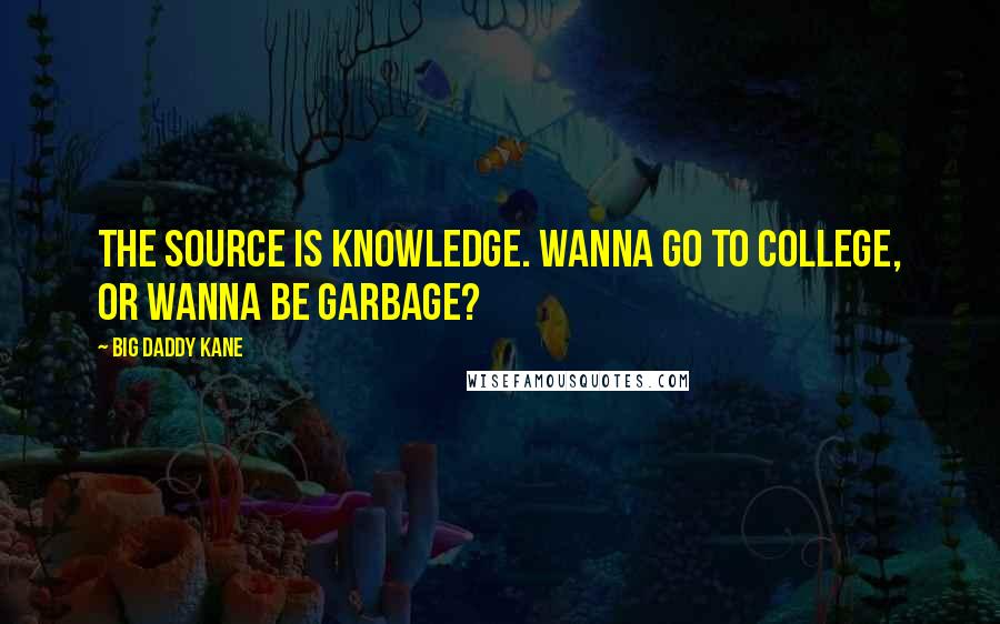 Big Daddy Kane Quotes: The source is knowledge. Wanna go to college, or wanna be garbage?