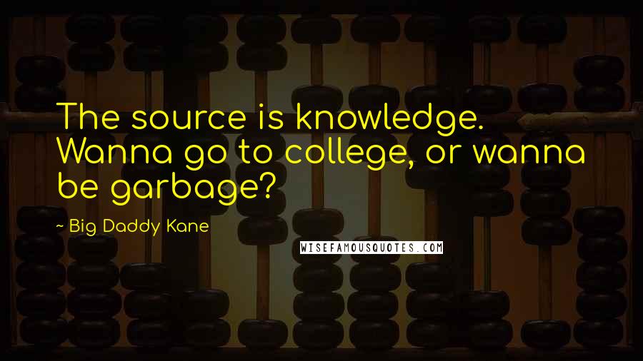 Big Daddy Kane Quotes: The source is knowledge. Wanna go to college, or wanna be garbage?