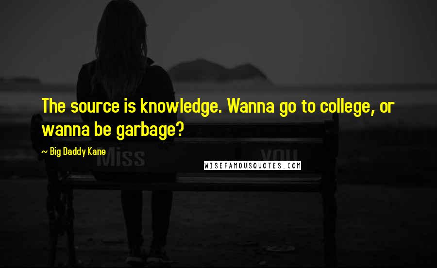 Big Daddy Kane Quotes: The source is knowledge. Wanna go to college, or wanna be garbage?