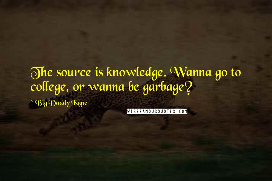 Big Daddy Kane Quotes: The source is knowledge. Wanna go to college, or wanna be garbage?