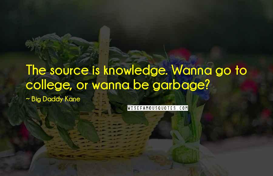 Big Daddy Kane Quotes: The source is knowledge. Wanna go to college, or wanna be garbage?