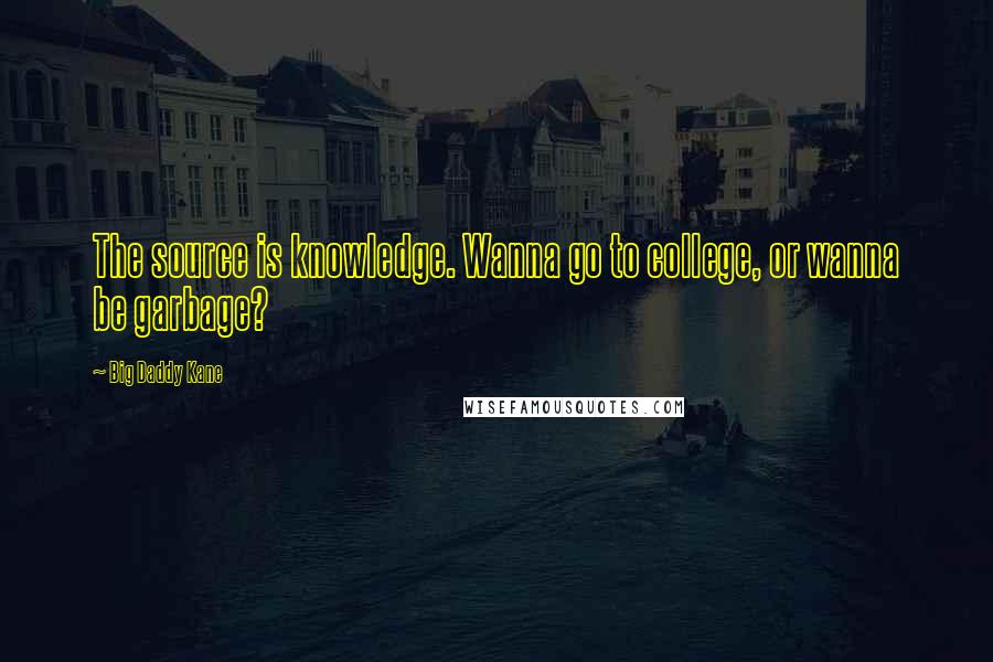 Big Daddy Kane Quotes: The source is knowledge. Wanna go to college, or wanna be garbage?