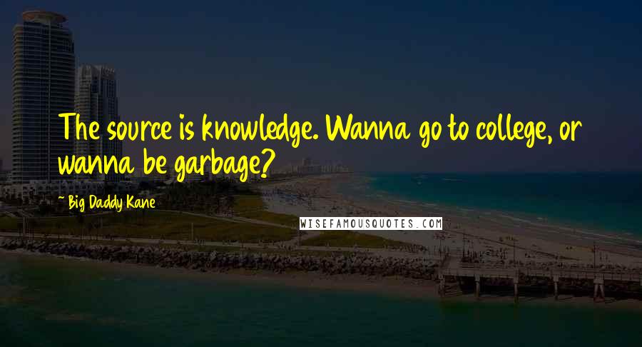 Big Daddy Kane Quotes: The source is knowledge. Wanna go to college, or wanna be garbage?