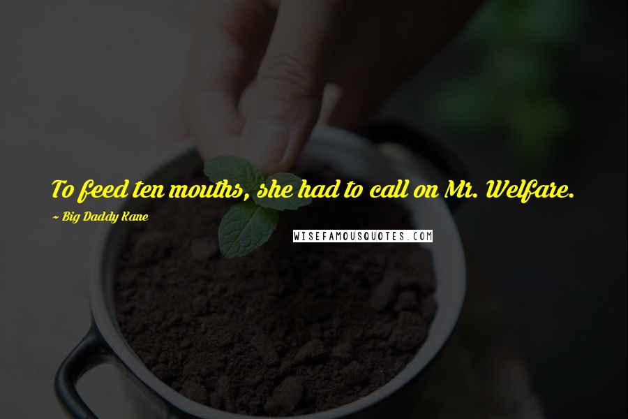 Big Daddy Kane Quotes: To feed ten mouths, she had to call on Mr. Welfare.