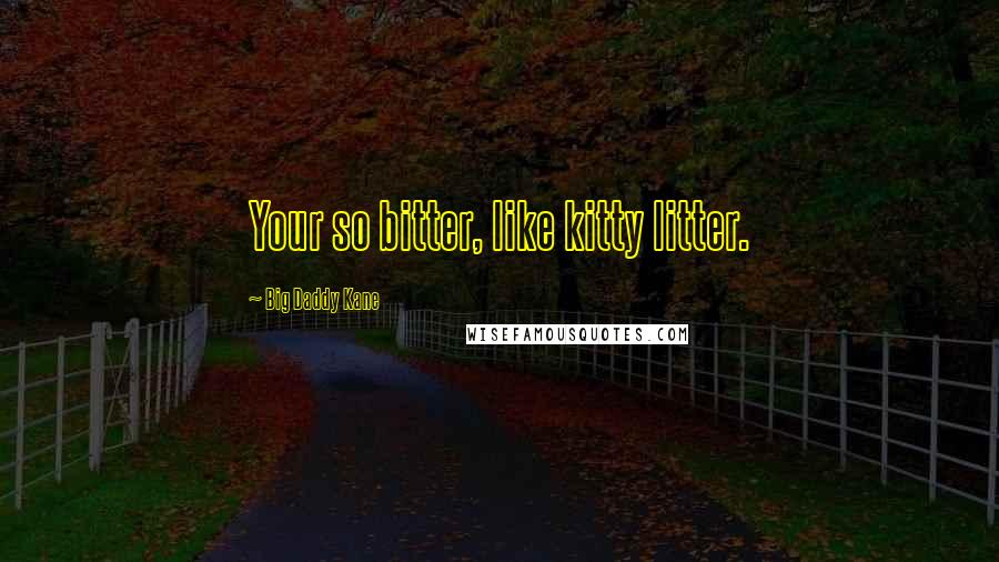 Big Daddy Kane Quotes: Your so bitter, like kitty litter.