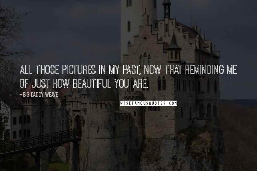 Big Daddy Weave Quotes: All those pictures in my past, now that reminding me of just how beautiful You are.