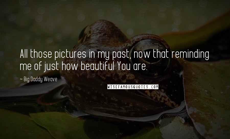 Big Daddy Weave Quotes: All those pictures in my past, now that reminding me of just how beautiful You are.