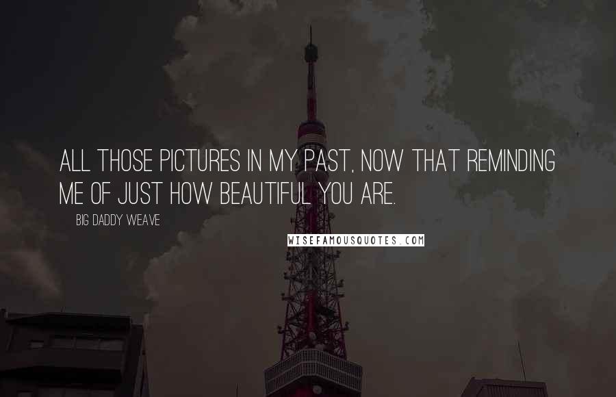 Big Daddy Weave Quotes: All those pictures in my past, now that reminding me of just how beautiful You are.