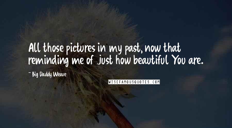 Big Daddy Weave Quotes: All those pictures in my past, now that reminding me of just how beautiful You are.