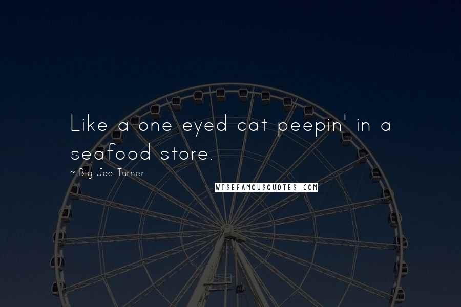 Big Joe Turner Quotes: Like a one eyed cat peepin' in a seafood store.