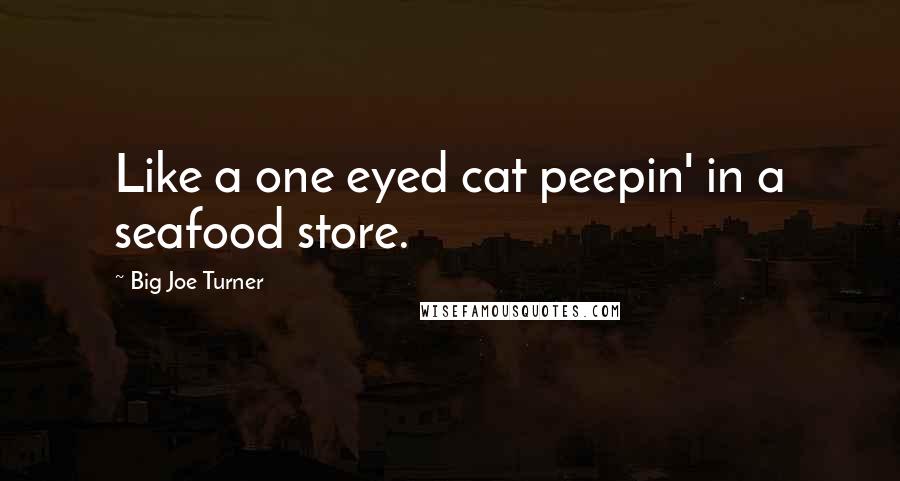 Big Joe Turner Quotes: Like a one eyed cat peepin' in a seafood store.
