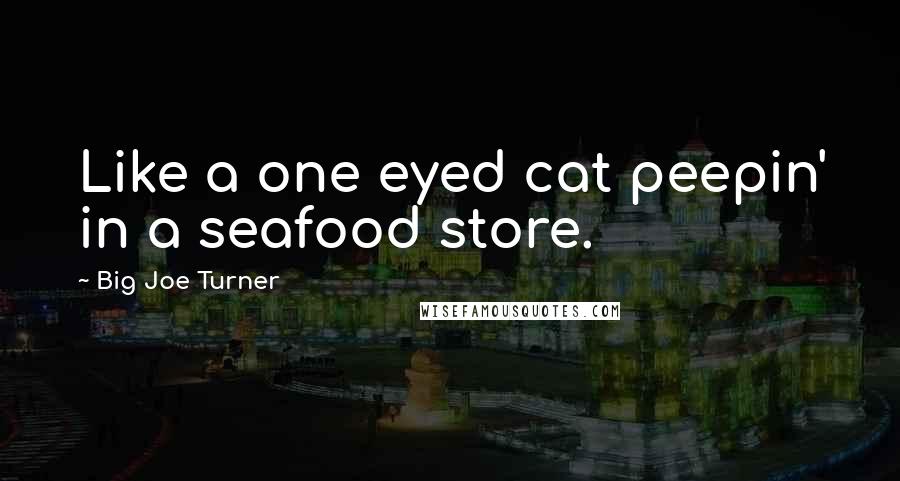 Big Joe Turner Quotes: Like a one eyed cat peepin' in a seafood store.