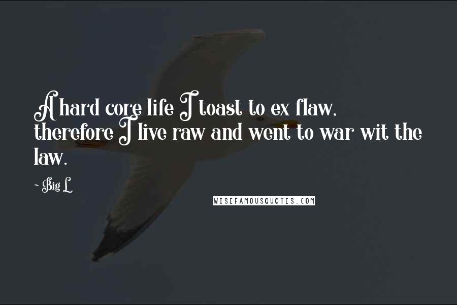 Big L Quotes: A hard core life I toast to ex flaw, therefore I live raw and went to war wit the law.