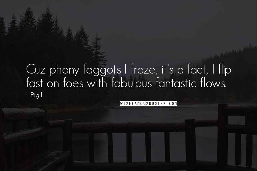 Big L Quotes: Cuz phony faggots I froze, it's a fact, I flip fast on foes with fabulous fantastic flows.
