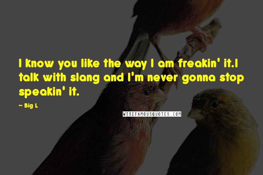 Big L Quotes: I know you like the way I am freakin' it.I talk with slang and I'm never gonna stop speakin' it.