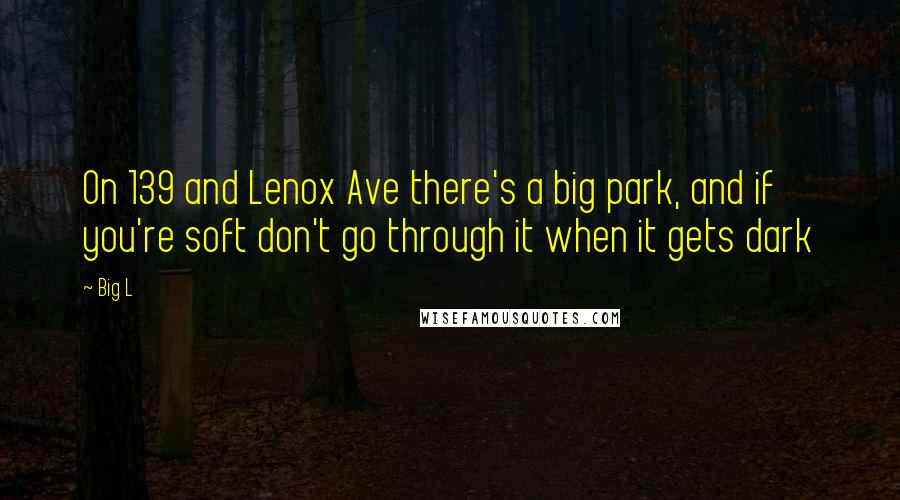 Big L Quotes: On 139 and Lenox Ave there's a big park, and if you're soft don't go through it when it gets dark