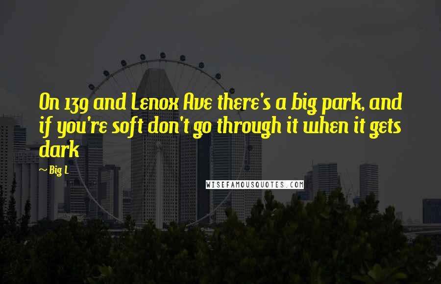 Big L Quotes: On 139 and Lenox Ave there's a big park, and if you're soft don't go through it when it gets dark