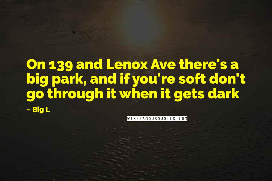 Big L Quotes: On 139 and Lenox Ave there's a big park, and if you're soft don't go through it when it gets dark