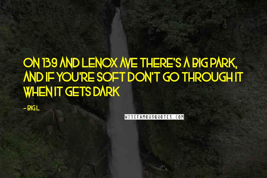 Big L Quotes: On 139 and Lenox Ave there's a big park, and if you're soft don't go through it when it gets dark