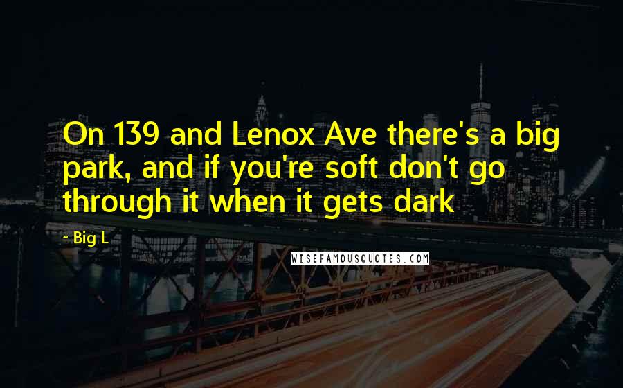 Big L Quotes: On 139 and Lenox Ave there's a big park, and if you're soft don't go through it when it gets dark