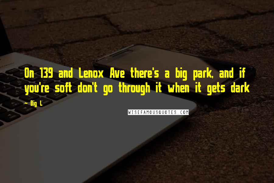 Big L Quotes: On 139 and Lenox Ave there's a big park, and if you're soft don't go through it when it gets dark