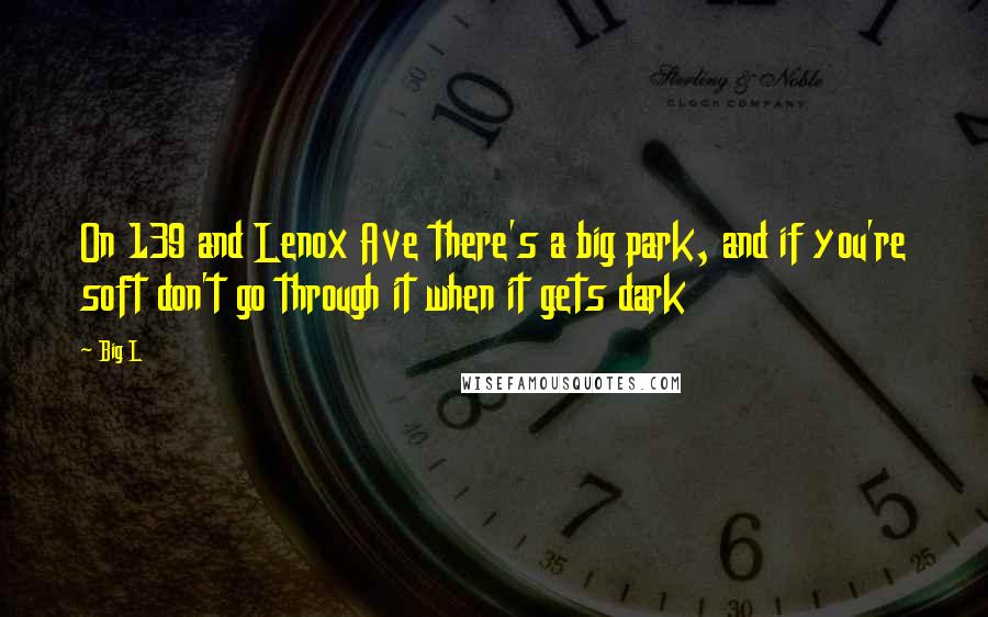 Big L Quotes: On 139 and Lenox Ave there's a big park, and if you're soft don't go through it when it gets dark