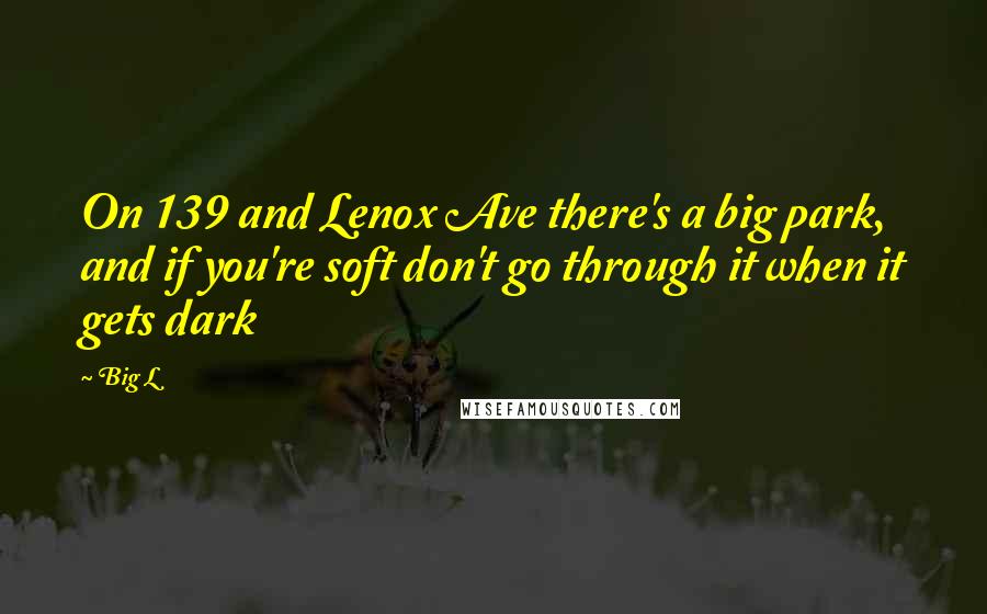 Big L Quotes: On 139 and Lenox Ave there's a big park, and if you're soft don't go through it when it gets dark