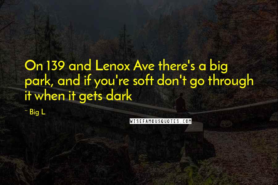 Big L Quotes: On 139 and Lenox Ave there's a big park, and if you're soft don't go through it when it gets dark