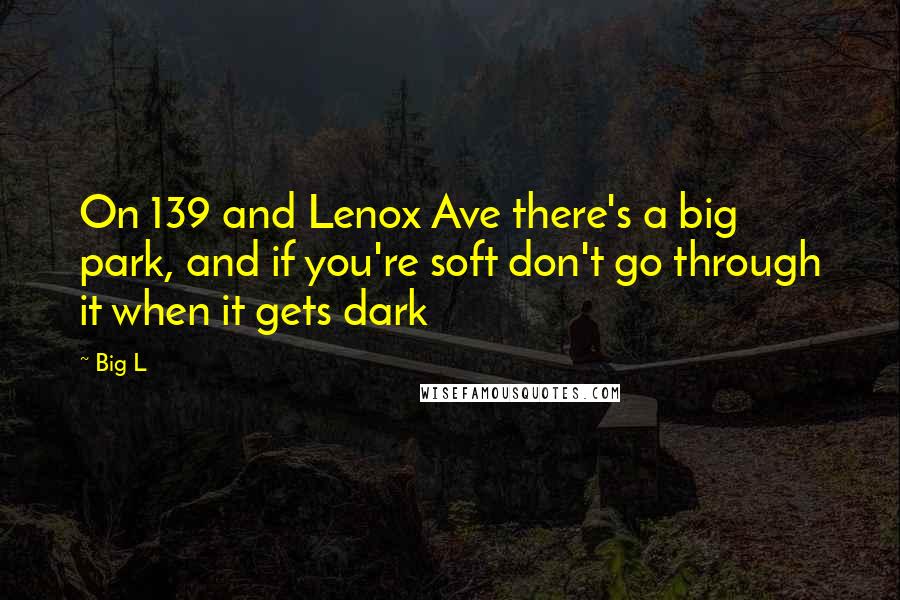 Big L Quotes: On 139 and Lenox Ave there's a big park, and if you're soft don't go through it when it gets dark