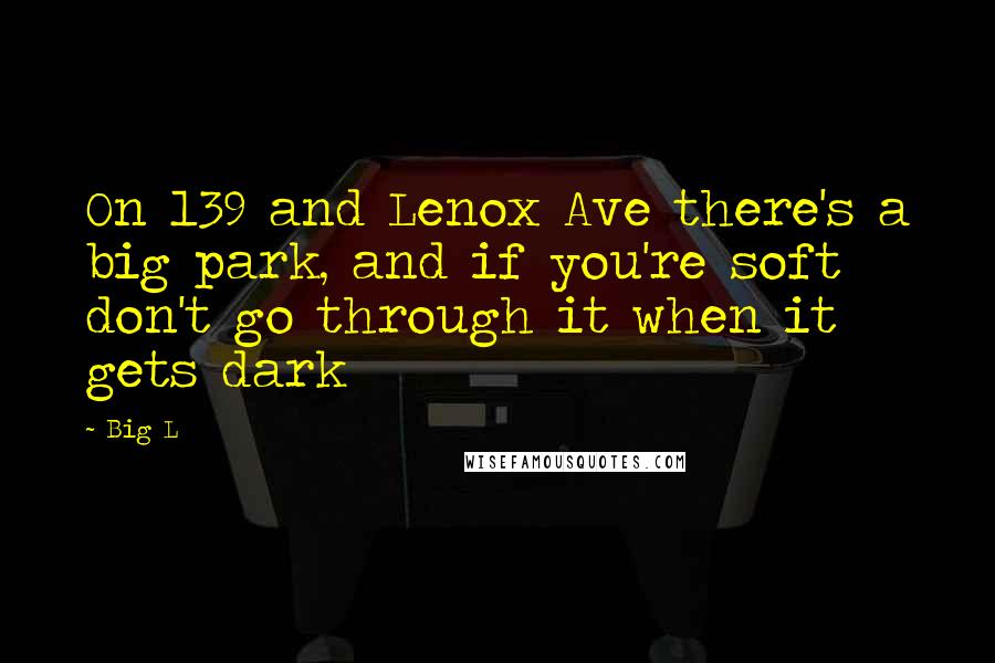 Big L Quotes: On 139 and Lenox Ave there's a big park, and if you're soft don't go through it when it gets dark