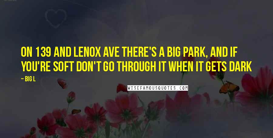 Big L Quotes: On 139 and Lenox Ave there's a big park, and if you're soft don't go through it when it gets dark