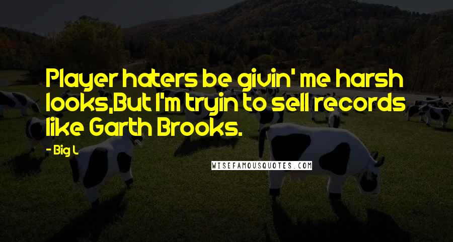 Big L Quotes: Player haters be givin' me harsh looks,But I'm tryin to sell records like Garth Brooks.