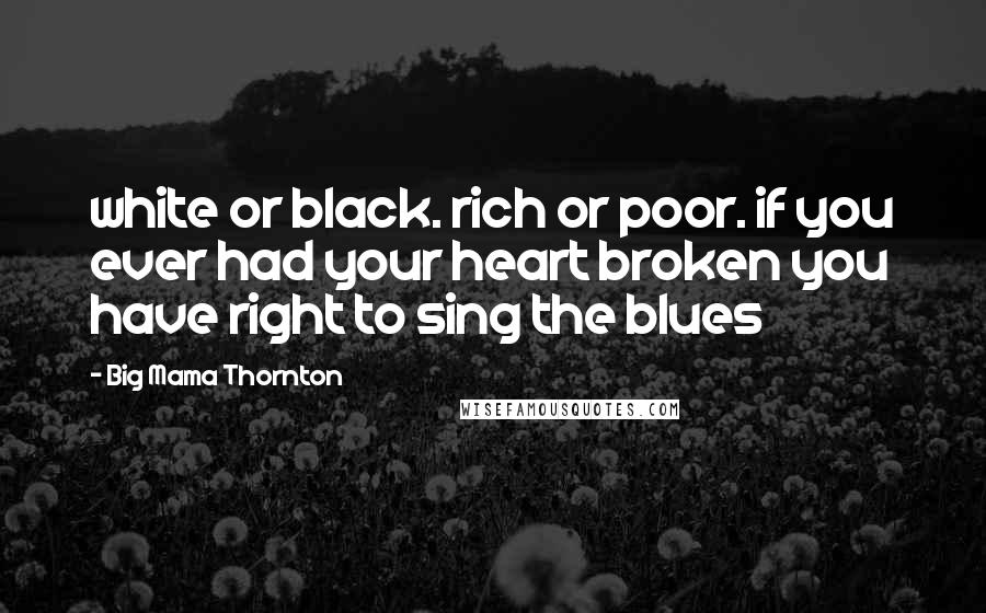 Big Mama Thornton Quotes: white or black. rich or poor. if you ever had your heart broken you have right to sing the blues