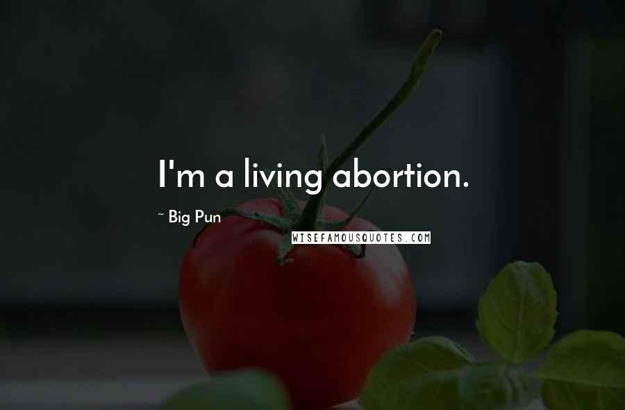 Big Pun Quotes: I'm a living abortion.