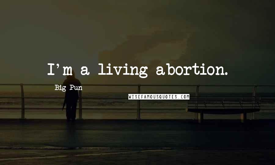 Big Pun Quotes: I'm a living abortion.