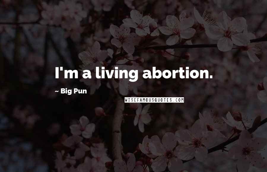 Big Pun Quotes: I'm a living abortion.