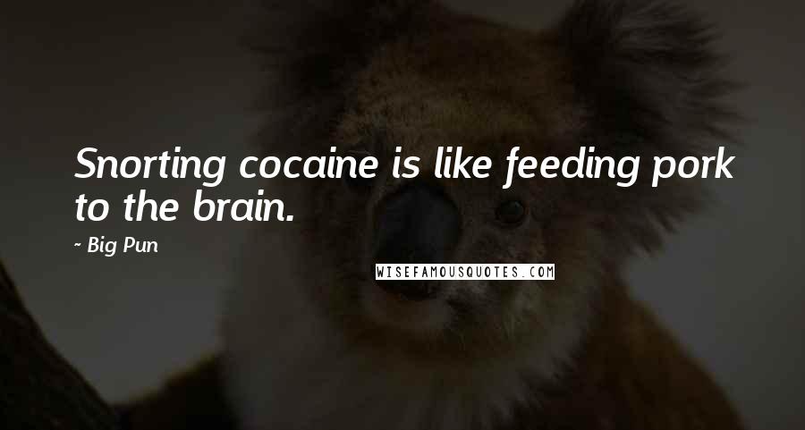 Big Pun Quotes: Snorting cocaine is like feeding pork to the brain.