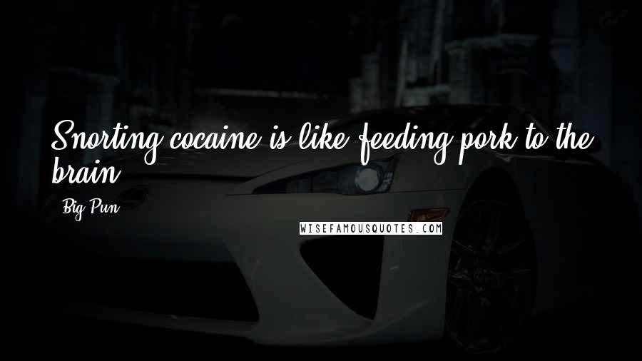 Big Pun Quotes: Snorting cocaine is like feeding pork to the brain.