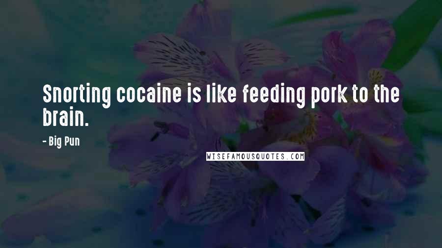 Big Pun Quotes: Snorting cocaine is like feeding pork to the brain.