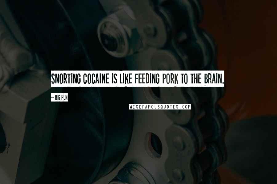 Big Pun Quotes: Snorting cocaine is like feeding pork to the brain.