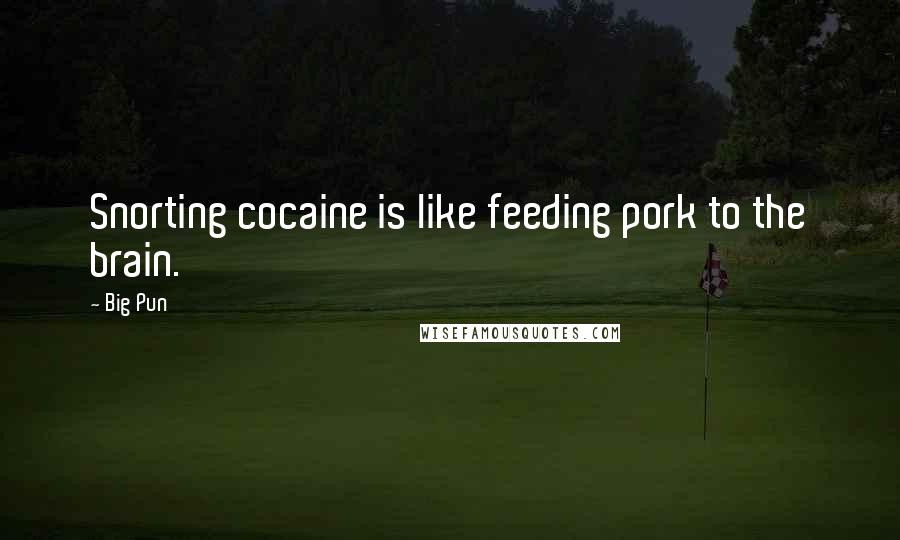 Big Pun Quotes: Snorting cocaine is like feeding pork to the brain.