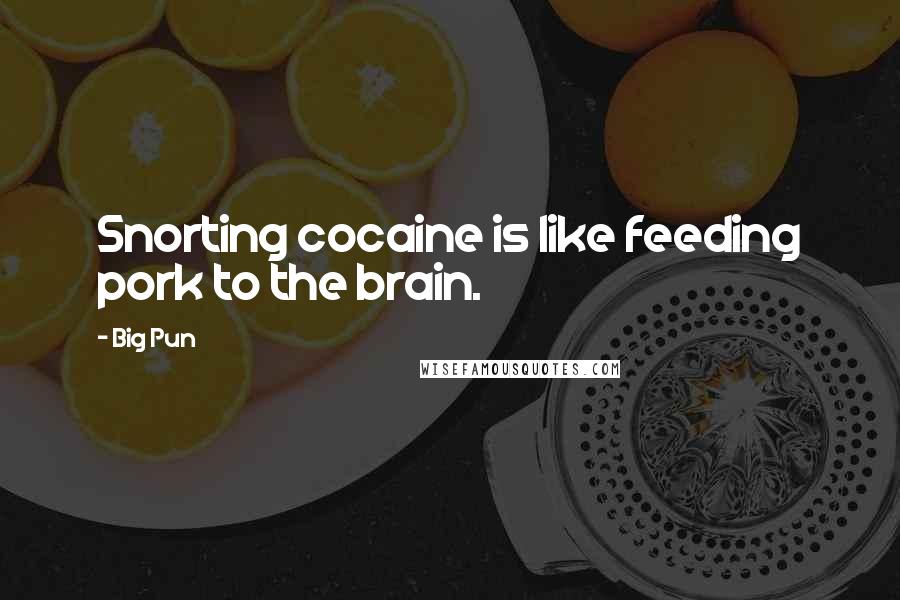 Big Pun Quotes: Snorting cocaine is like feeding pork to the brain.