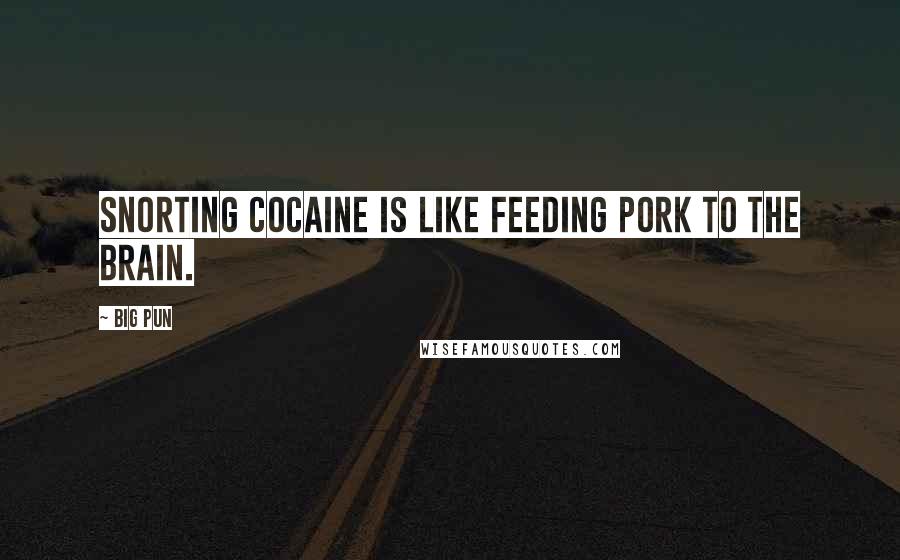 Big Pun Quotes: Snorting cocaine is like feeding pork to the brain.