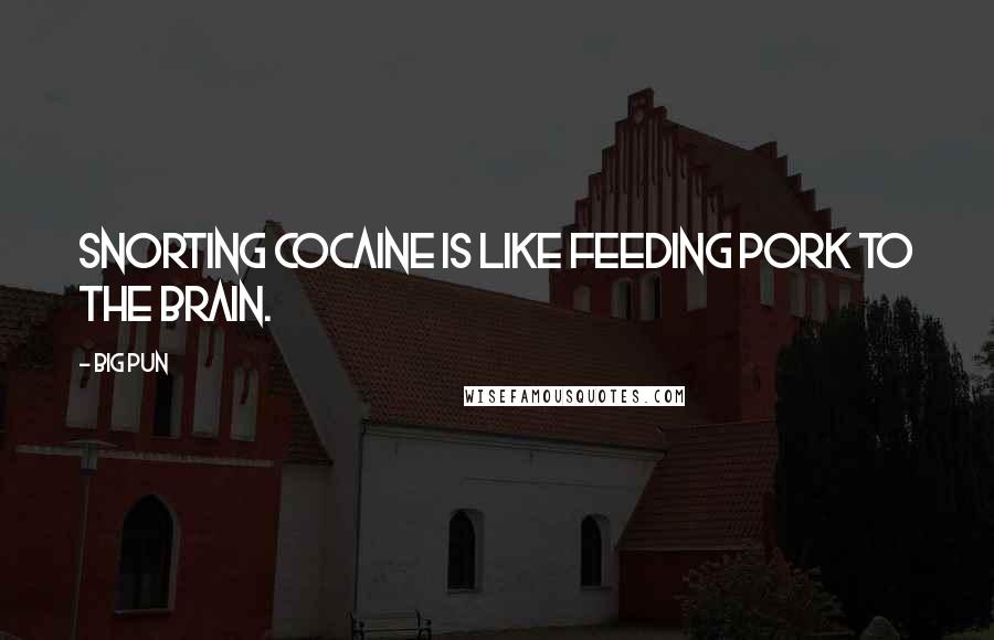 Big Pun Quotes: Snorting cocaine is like feeding pork to the brain.