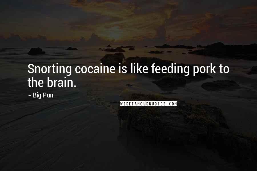 Big Pun Quotes: Snorting cocaine is like feeding pork to the brain.